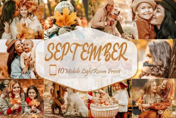 Download 10 September Mobile LR Presets - Premium Resources