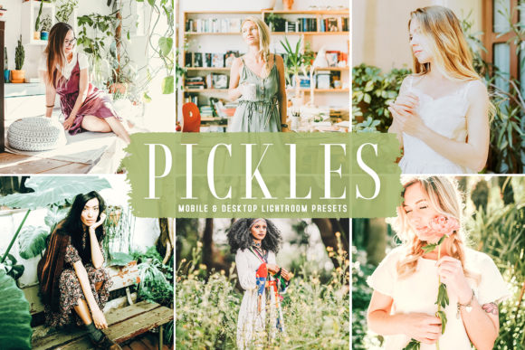 Download Pickles Pro Lightroom Presets - Premium Resources